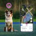 Умный ошейник для собак с ограничением безопасной зоны и GPS-трекером. Halo Collar 3 7